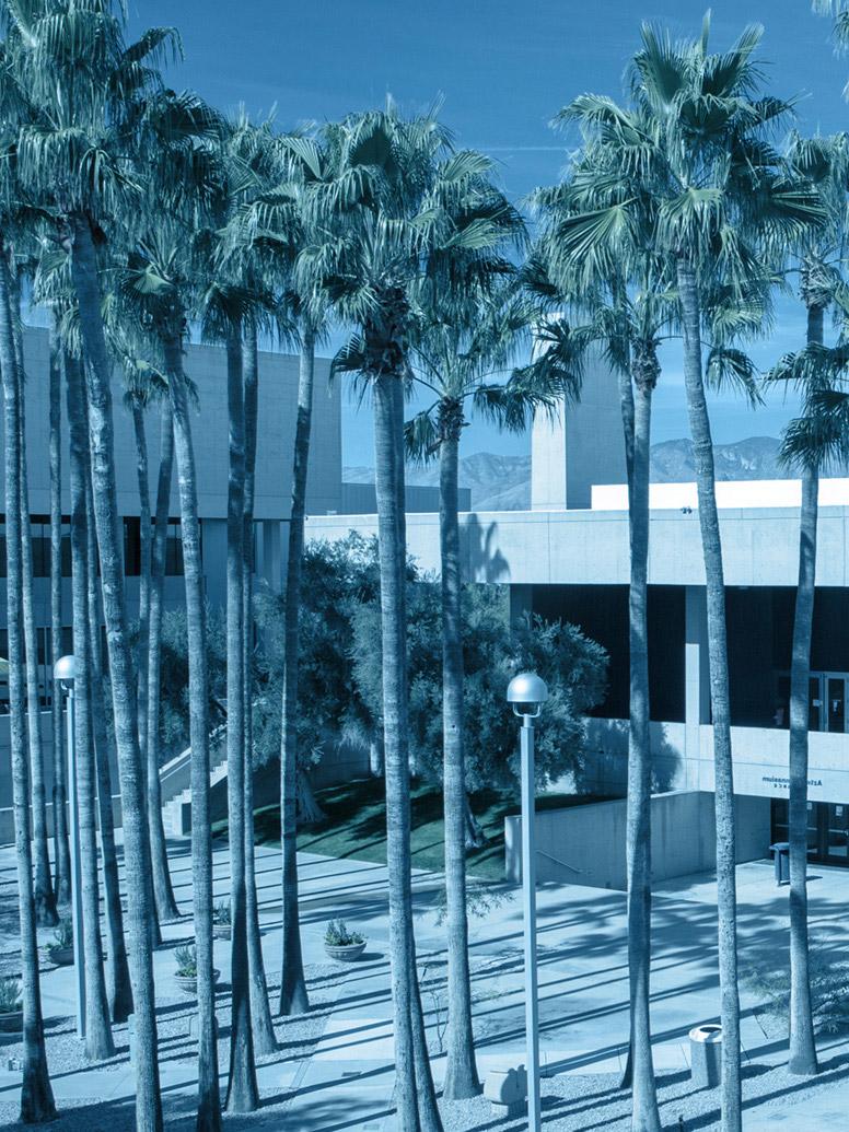 West Campus courtyard with palm trees